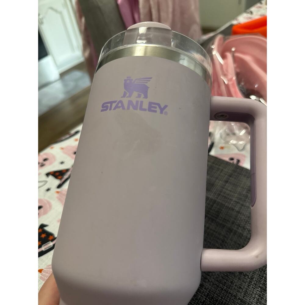 Stanley - Picture 2 of 5